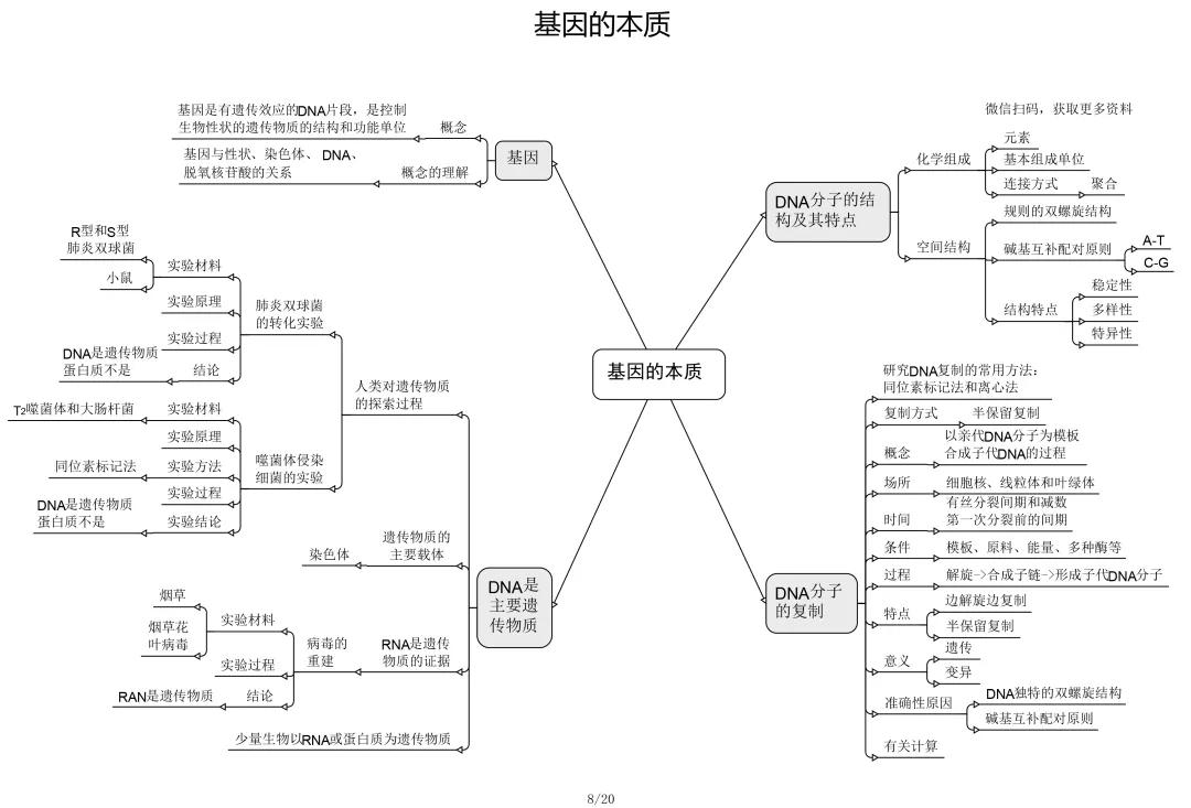 高考生物必修選修思維導圖最全歸納