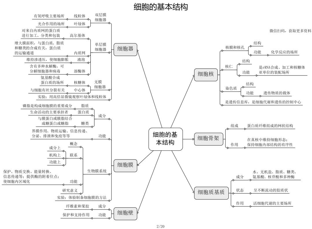 高考生物必修選修思維導圖最全歸納