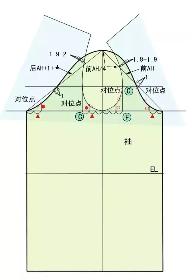 日本文化式原型登麗美原型的製圖比較認