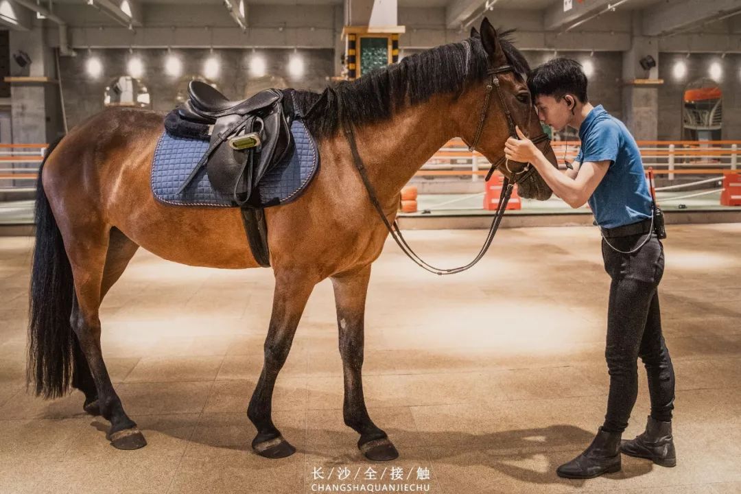 长沙这家马术馆把欧洲古堡搬到室内太撩妹