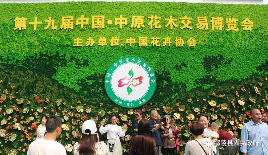 苗木供求信息