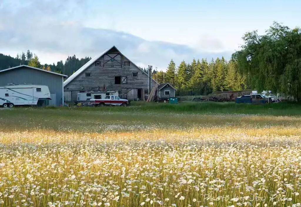大自然的几何作业美国农村麦田怪圈掠影