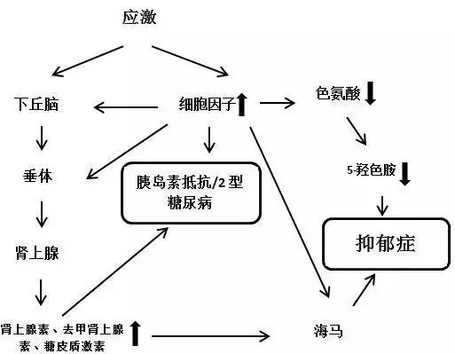 糖尿病和抑郁症有关系吗