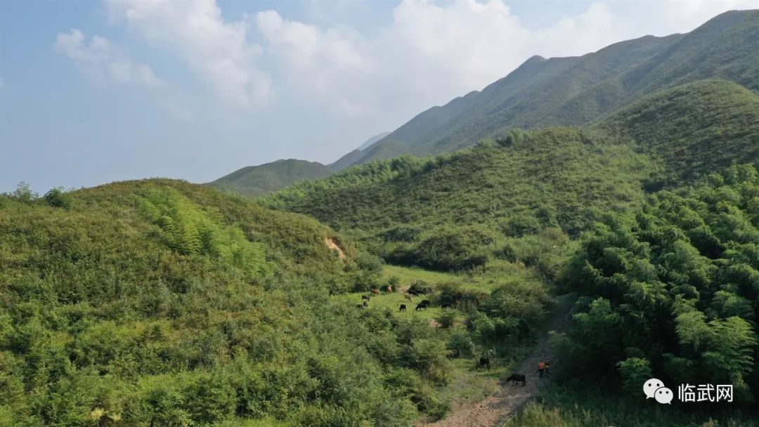 欢迎大家来店咨询临武老喜上喜盛达易购和福牛业直营店郴州市五岭广场