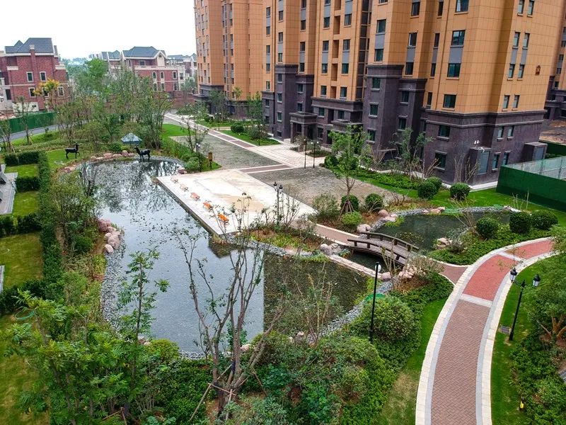 部分楼栋前的麋鹿溪谷景观了,而这仅仅只是一小部分,静静伫立在水岸