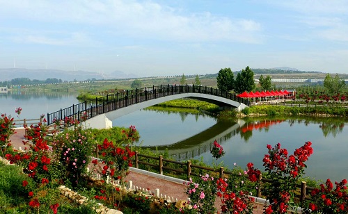 城前镇康王谷花世界主题公园玻璃花桥投入使用(图文)