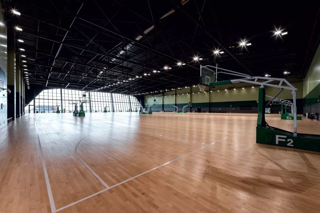 宁波奥体中心篮球场图片