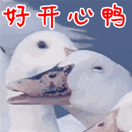 270_270gif 动态图 动图