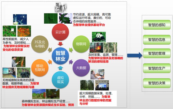 【林家讲堂】林业发展新方向-智慧林业(第三期)-谭炳香_技术