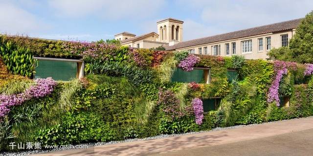 斯坦福商学院垂直绿化葱郁生态的围挡