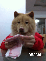 180_240gif 动态图 动图