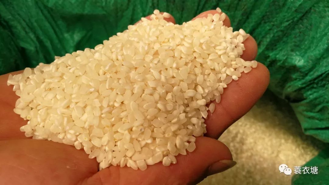 正宗大禾米黄元柴做的黄元米果零添加安全放心好吃