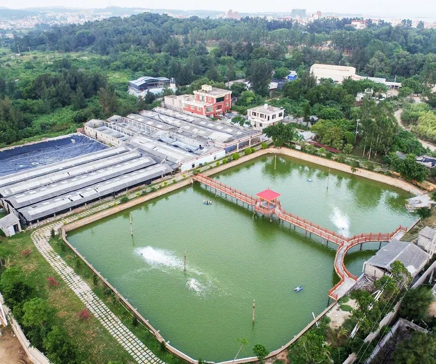 我们相约"海峡第一村"!