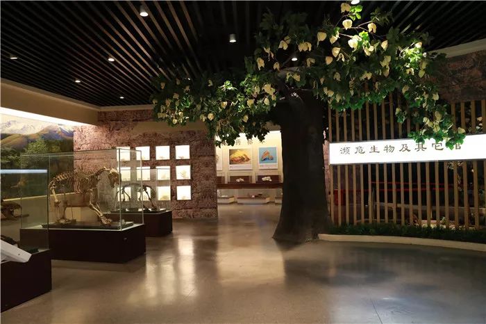 如《药用植物学》《中药鉴定学》等,当时没有标本馆,第一代中药学老师