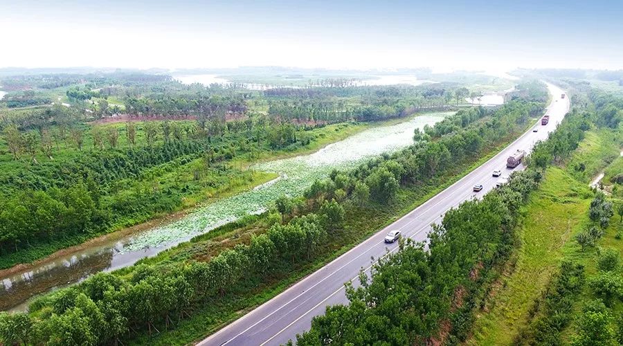 山东齐河齐河县黄河国际生态城g309景观绿化工程总投资:7140万元项目