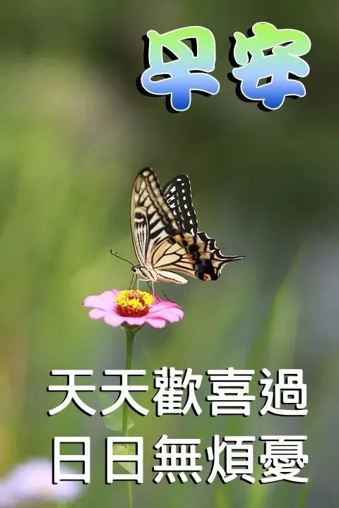 新版好看的早上好问候语图片大全 早上好表情包祝福句子