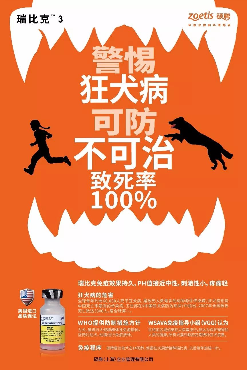 狂犬病仍在致命2019世界狂犬病日主题让狂犬病在此结束