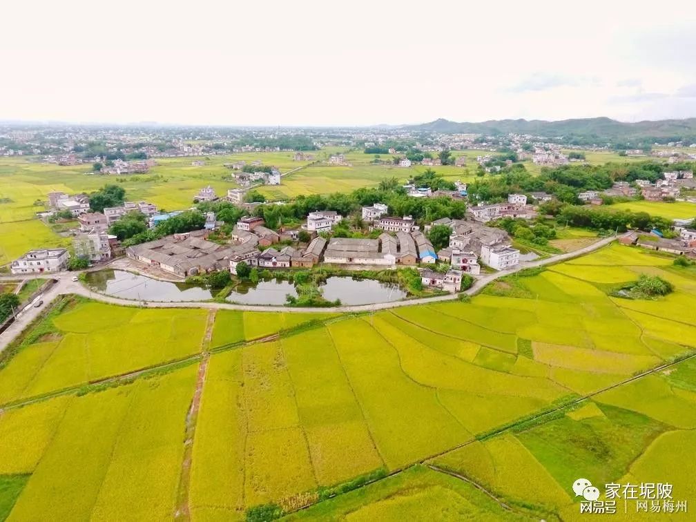 想必这里会成为坭陂镇上的一颗明珠