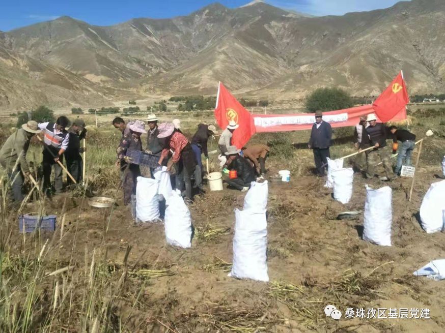 东嘎乡加吾岗村党支部,妇联,团支部开展志愿活动及清洁乡村暨环境整治