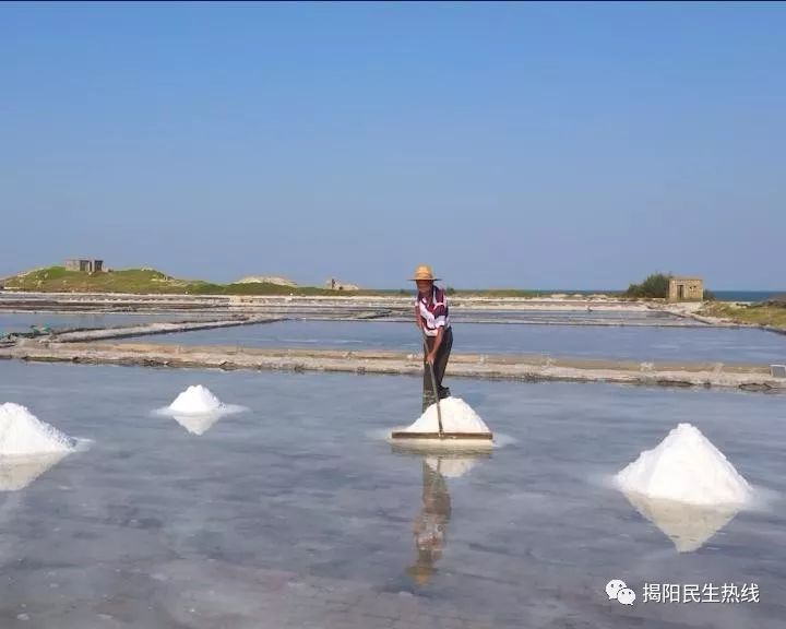 走進惠來後表鹽場,看看海水如何變海鹽