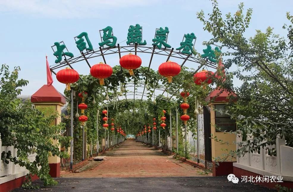 青县大司马特菜基地以司马庄绿豪农业专业合作社为发展依托,是一家以