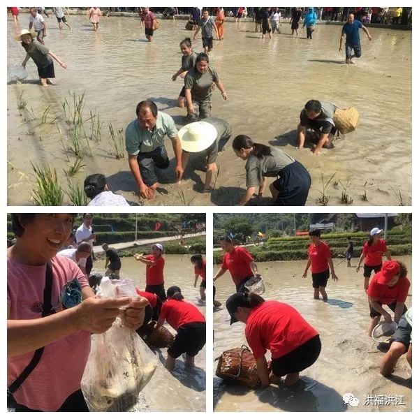 担谷子套鸭子徒手摸鱼洪江这里真好嗨
