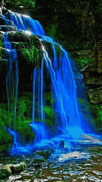 346_615竖版 竖屏gif 动态图 动图