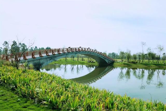 成都杨柳湖图片
