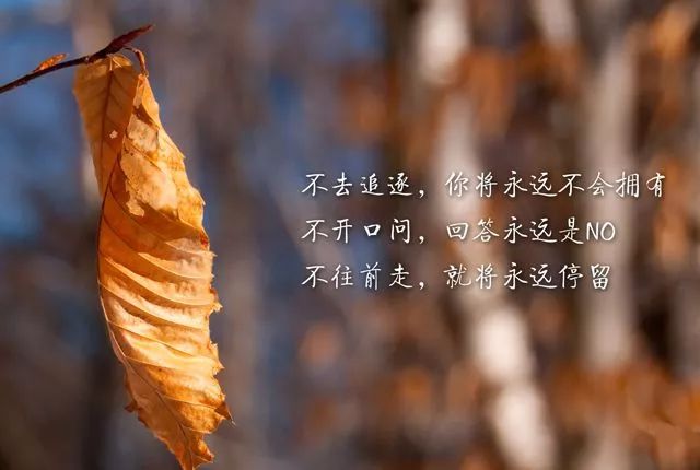 沉淀自己是最好的升华