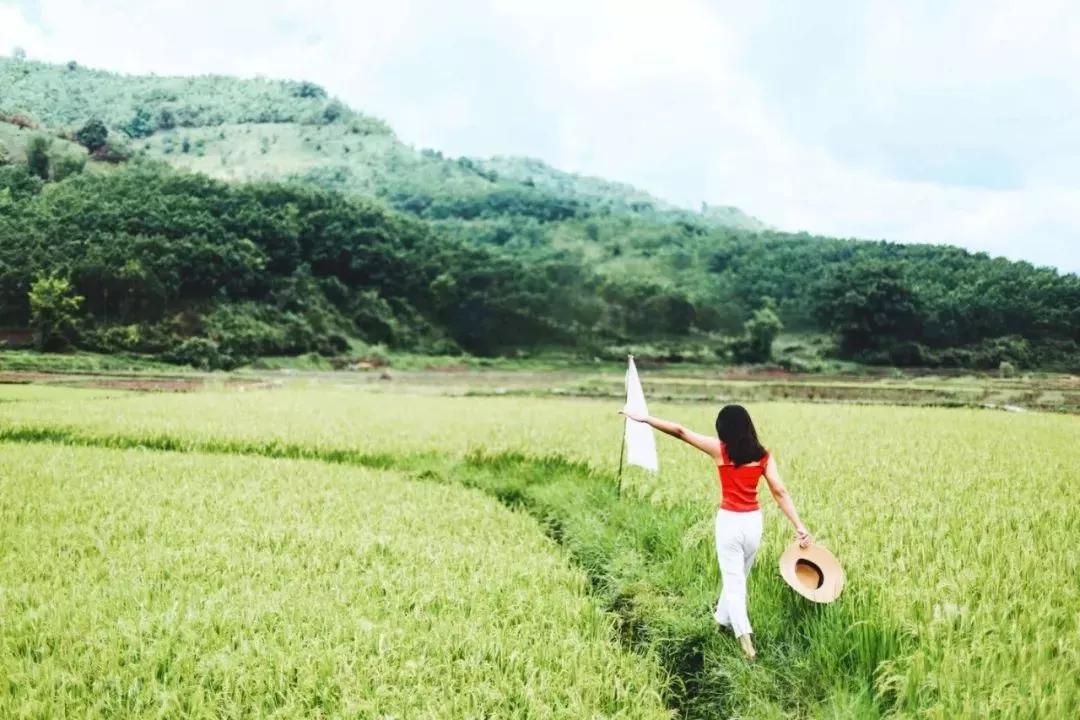 愿你这一生，拿得起，也放得下