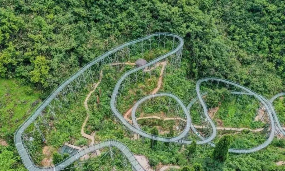 丛林滑道,丛林滑轨,滑草滑道(第2页)_大山谷图库