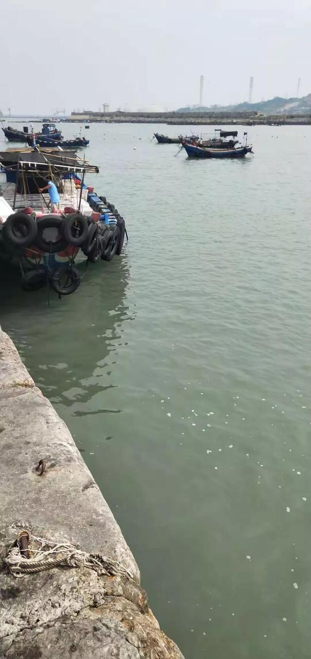 点赞老阿婆不慎落水漳州这位男子跳下了海