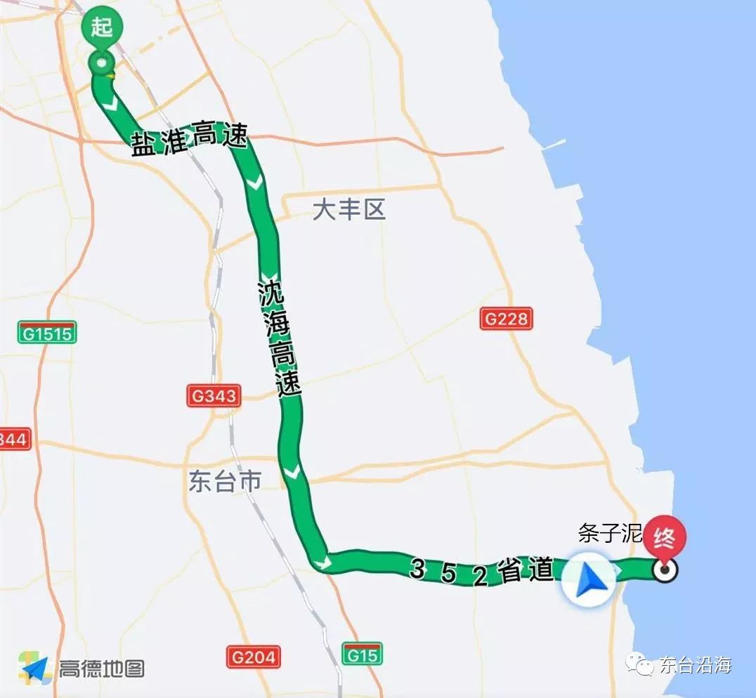 东台条子泥湿地交通指南发布敬请查收