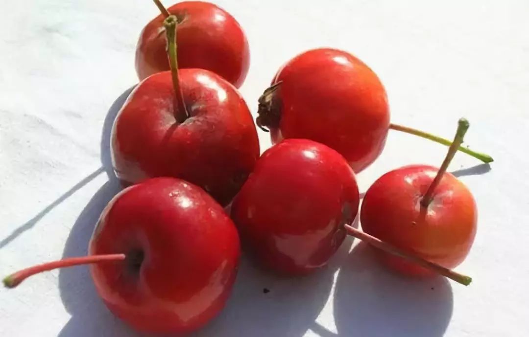 是彩色的▽也有人说,榆林是甘甜的苹果红海果西瓜枣这样的榆林全中