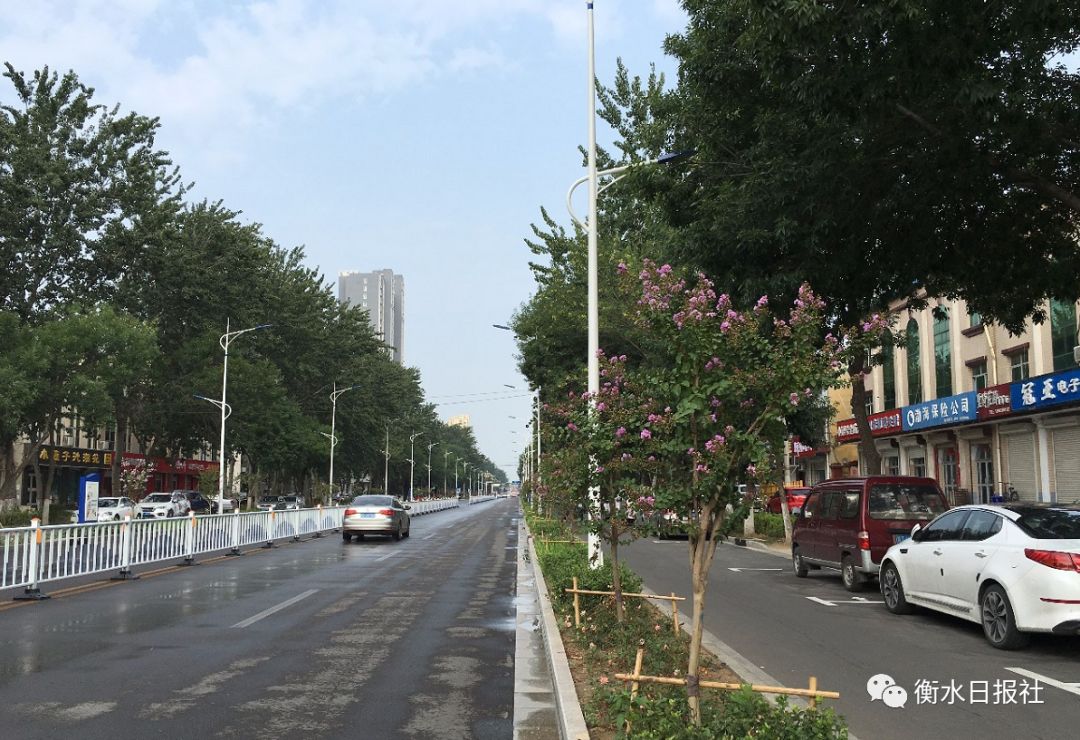 改造后的衡水市区主干道颜值飙升!