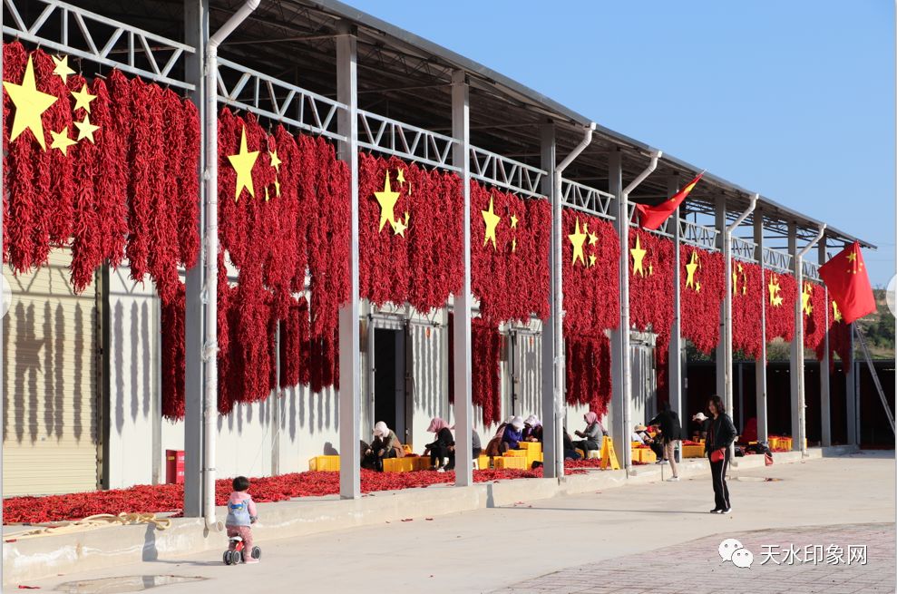 甘谷县第一届辣椒节即将开启甘谷辣椒火起来