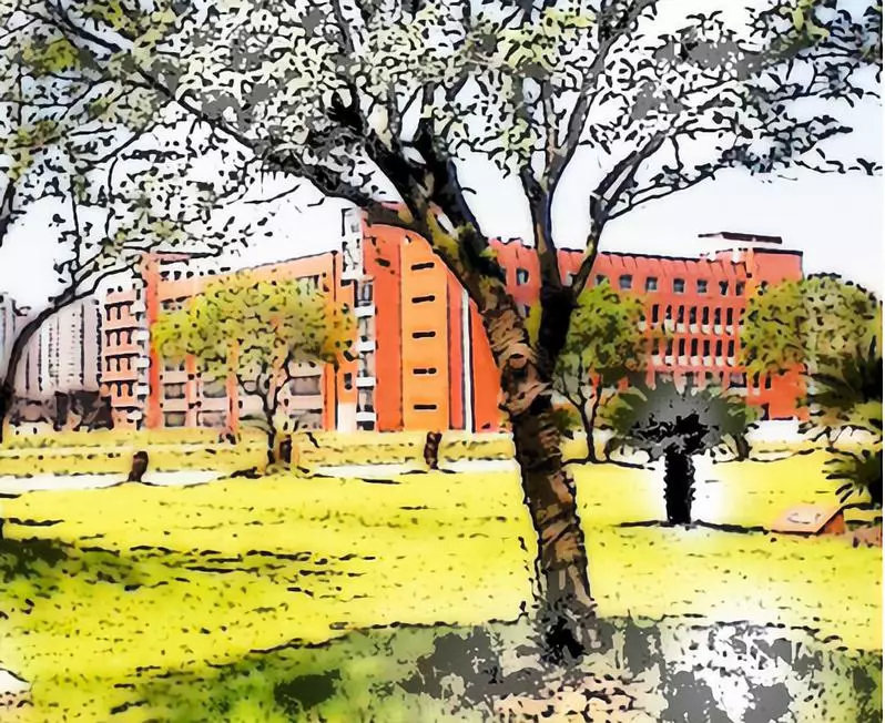 010画室:2020年使用美术统考成绩可以报考的211大学