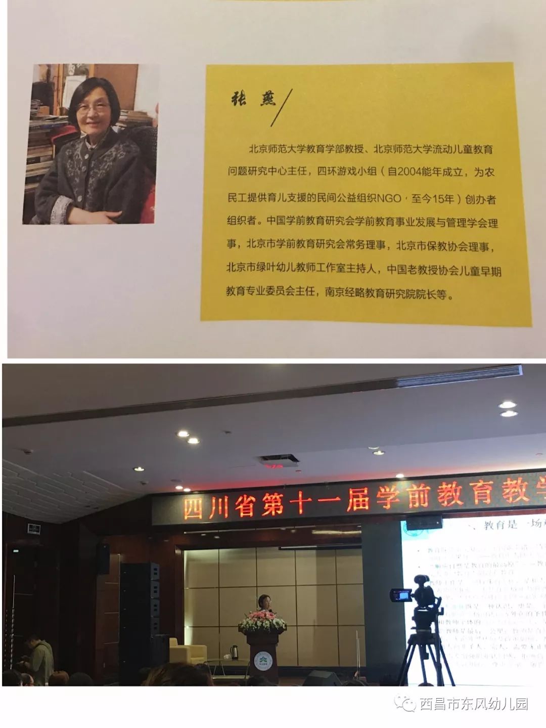 学部儿童教育学科教授刘乡英女士,北京师范大学教育学部教授张燕女士