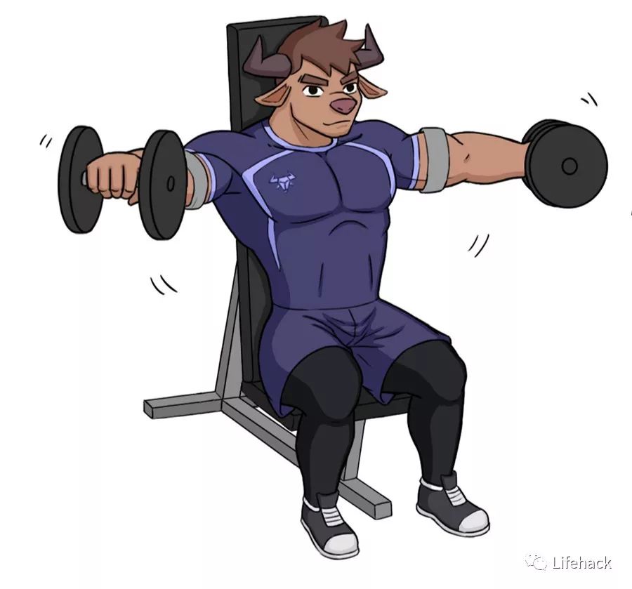 哑铃前平举每组12次,做四组▼俯身哑铃飞鸟每组12次,做四组▼倒三角