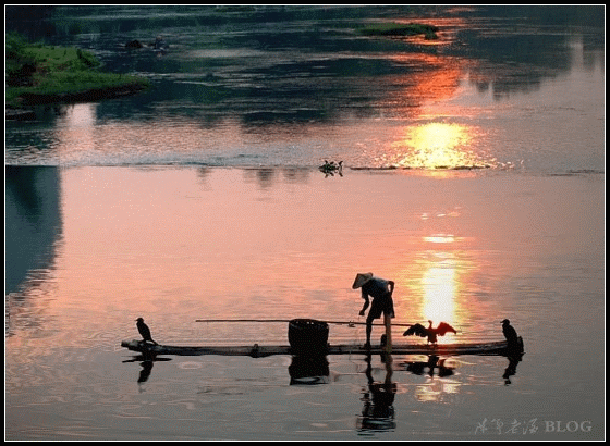 560_410gif 动态图 动图