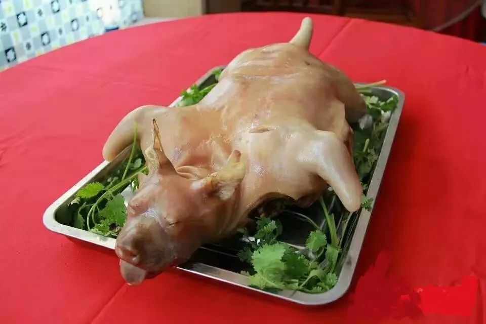 贵州花江狗肉火锅店9月29日隆重登录天长咯