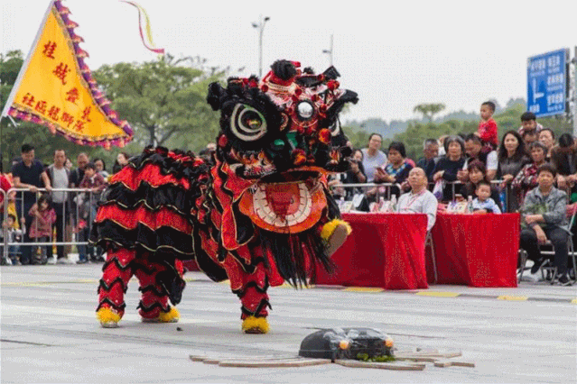 桂城南狮争霸赛报名啦,奖金最高3500元!