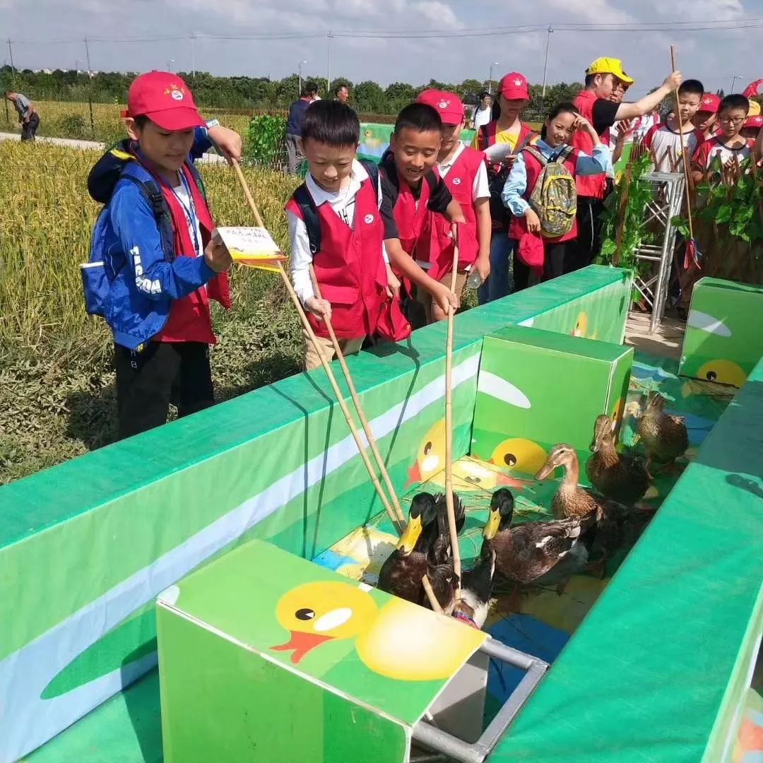 诗意学生 | 循七十年"丰收"史诗,创城乡间学乐丰年