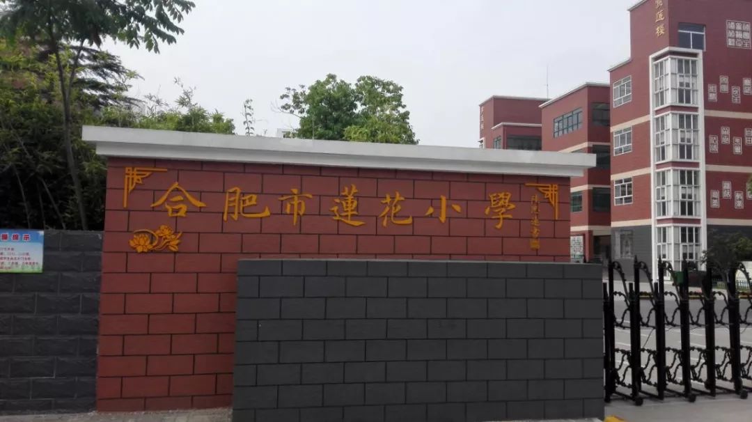 合肥市莲花小学校徽图片