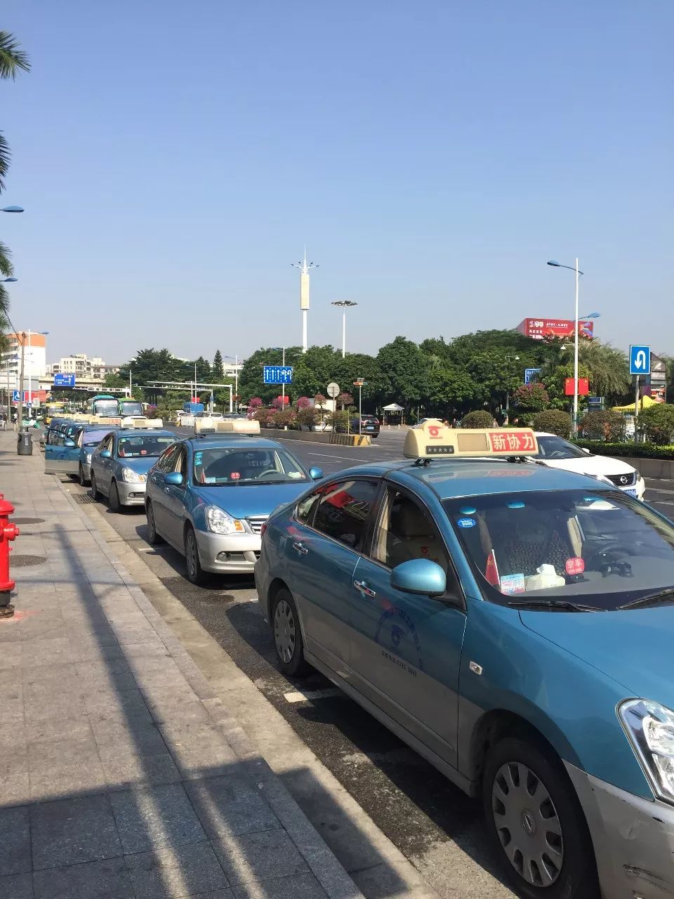 争做文明驾驶人丨迎国庆佛山出租车也红了