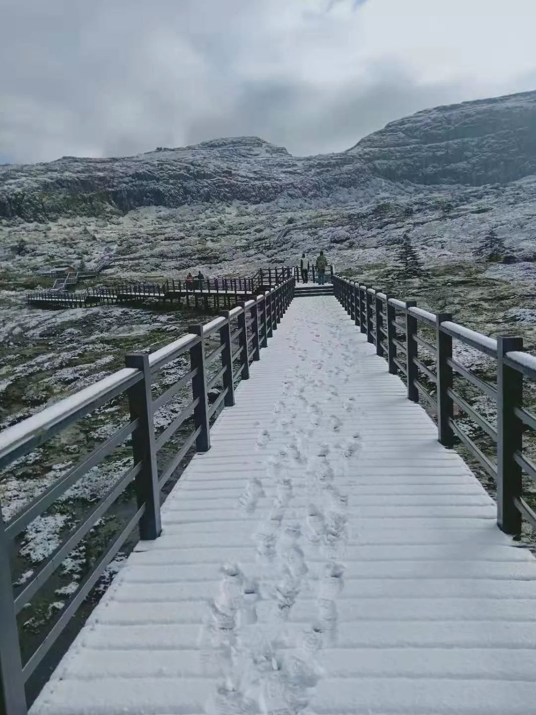 还没入冬昆明就下雪了轿子雪山迎来秋雪