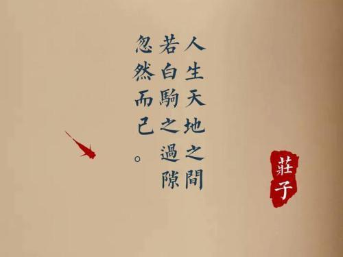 《庄子·知北游》中:人生天地之间,若白驹之过隙,忽然而已.