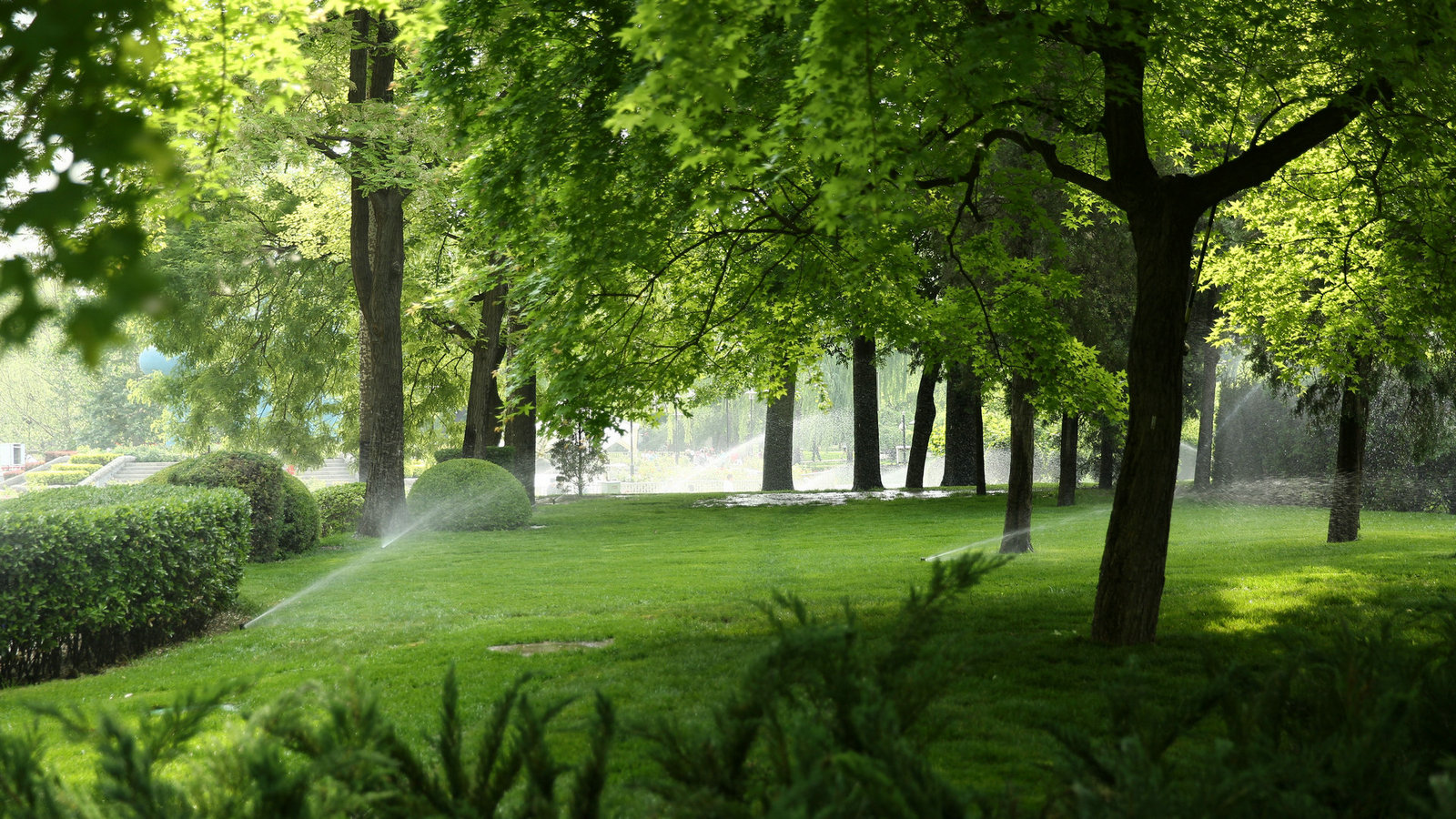 运势低迷的时候正确的做法涨知识了