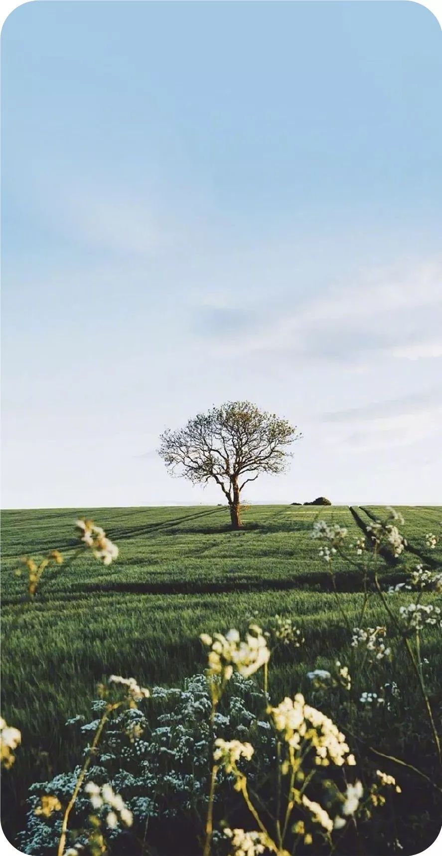 九言用随和淡然的态度过随遇而安的生活