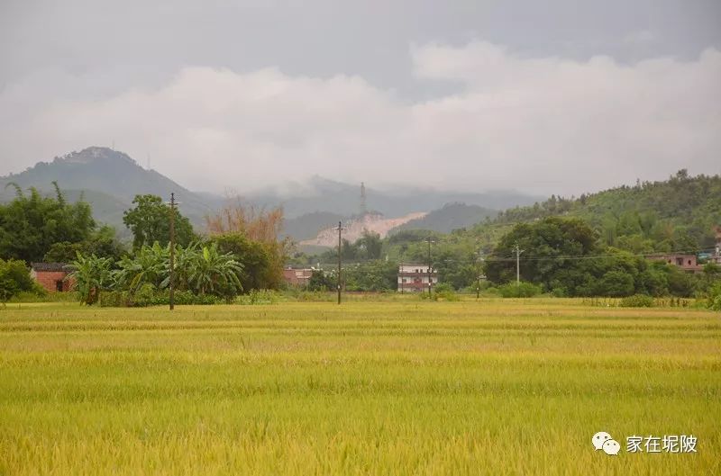 想必这里会成为坭陂镇上的一颗明珠